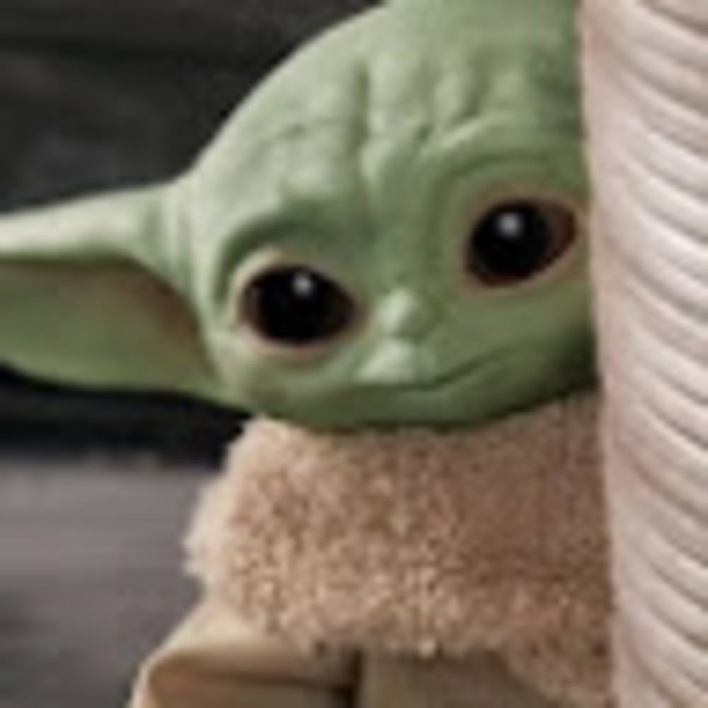 Meet your Posher, Lori